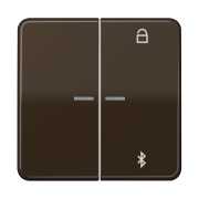 Таймер универсальный Bluetooth® , CD 1751 BT BR