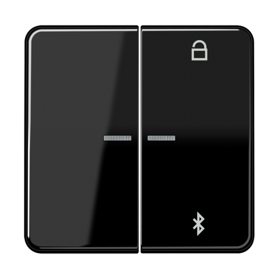Таймер универсальный Bluetooth® , CD 1751 BT SW
