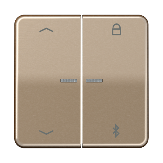 Таймер универсальный Bluetooth® «стрелки», CD 1751 PBT GB