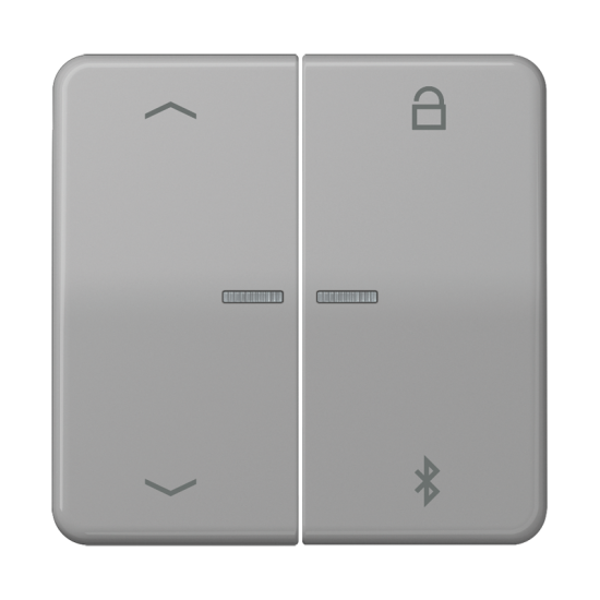 Таймер универсальный Bluetooth® «стрелки», CD 1751 PBT GR