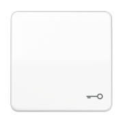 Клавиша с символом «ключ», CD 590 BFT WW