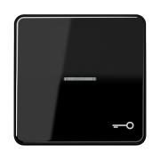 Kлавиша с символом «ключ» и окошком, CD 590 KO5T SW