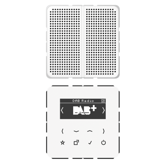 Смарт радио DAB+, моно, DAB CD1 WW