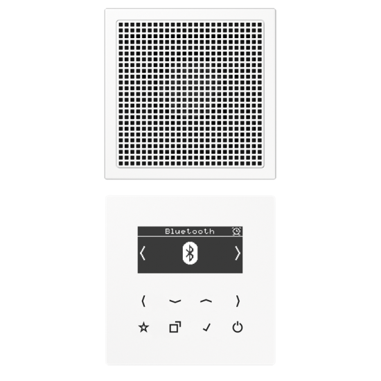 Смарт радио DAB+ Bluetooth®, моно, DAB LS1 BT WW