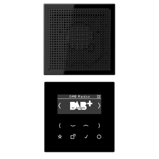Смарт радио DAB+, моно, DAB LS1 SW