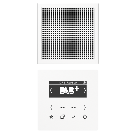 Смарт радио DAB+, моно, DAB LS1 WW