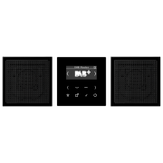 Смарт радио DAB+, стерео, DAB LS2 SW