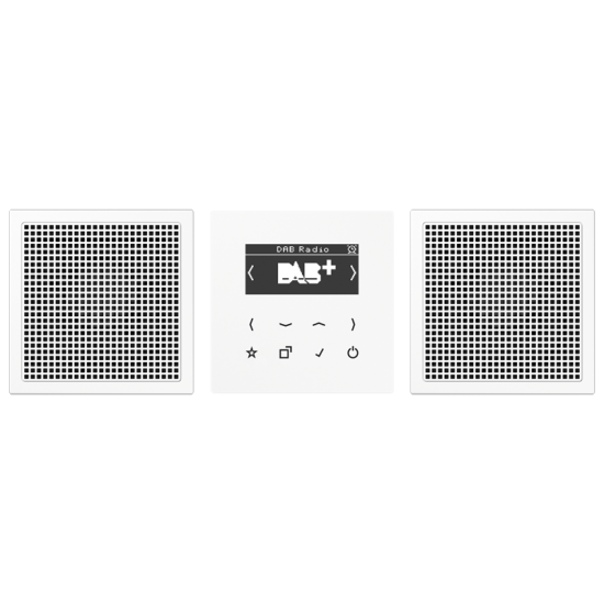Смарт радио DAB+, стерео, DAB LS2 WW