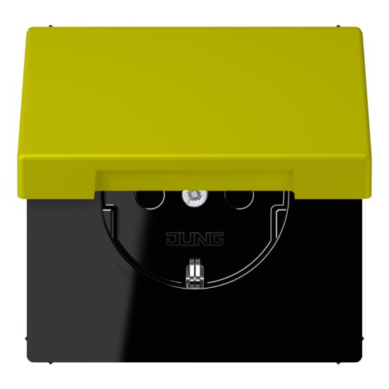 SCHUKO®-розетка 16 A / 250 B ~, LC 1520 KIKL 4320F