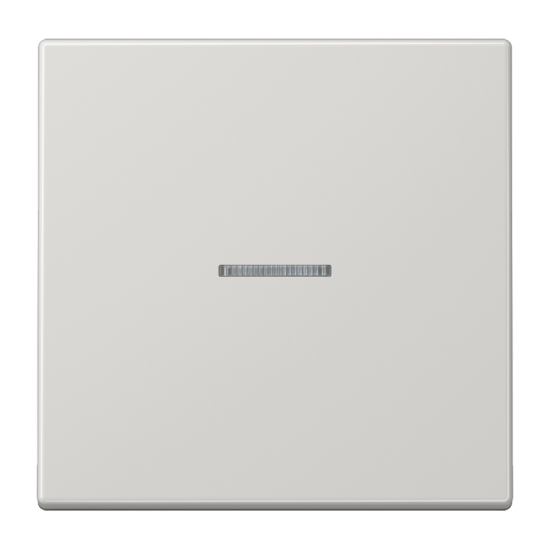 KNX RF кнопка, 1 группа, LS 10911 ST RF LG