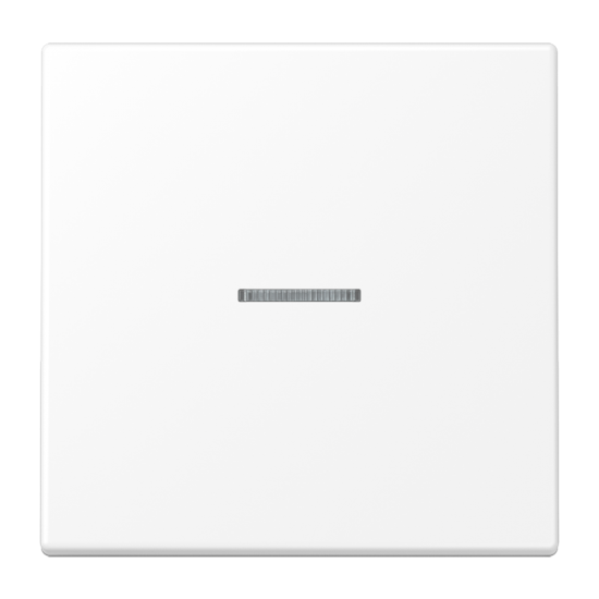 KNX RF кнопка, 1 группа, LS 10911 ST RF WWM