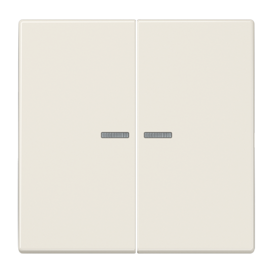 KNX RF кнопка, 2 группы, LS 10921 ST RF