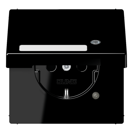 SCHUKO®-розетка 16 A / 250 B ~, LS 1520 NAKLKO SW