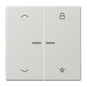 Universal centre plate "arrows", LS 1701 P LG