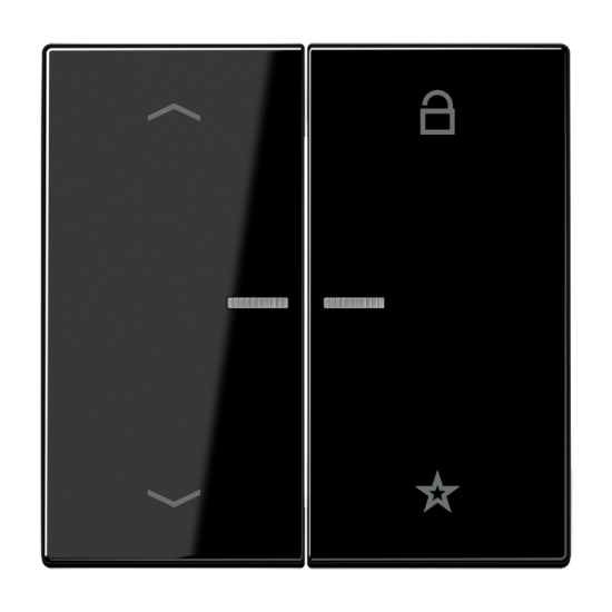 Universal centre plate "arrows", LS 1701 P SW