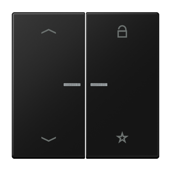 Universal centre plate "arrows", LS 1701 P SWM