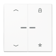 Universal centre plate "arrows", LS 1701 P WW