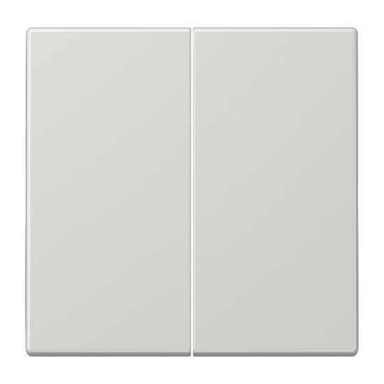 LB Управление кнопка, 2 группы, LS 1702 LG