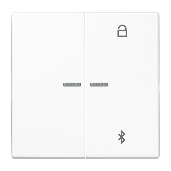 Таймер универсальный Bluetooth® , LS 1751 BT WW