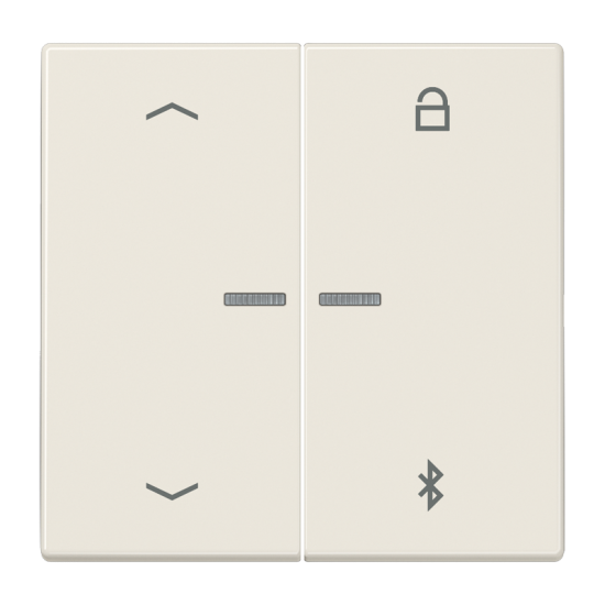 Таймер универсальный Bluetooth® «стрелки», LS 1751 PBT