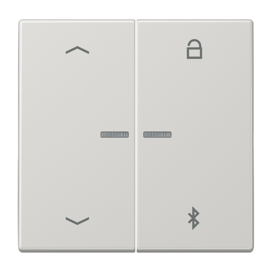 Таймер универсальный Bluetooth® «стрелки», LS 1751 PBT LG