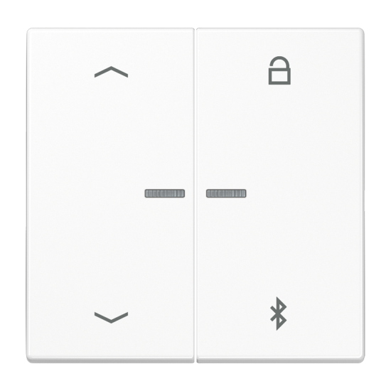 Таймер универсальный Bluetooth® «стрелки», LS 1751 PBT WW