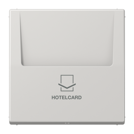 Накладка карточного выключателя (без механизма), LS 590 CARD LG