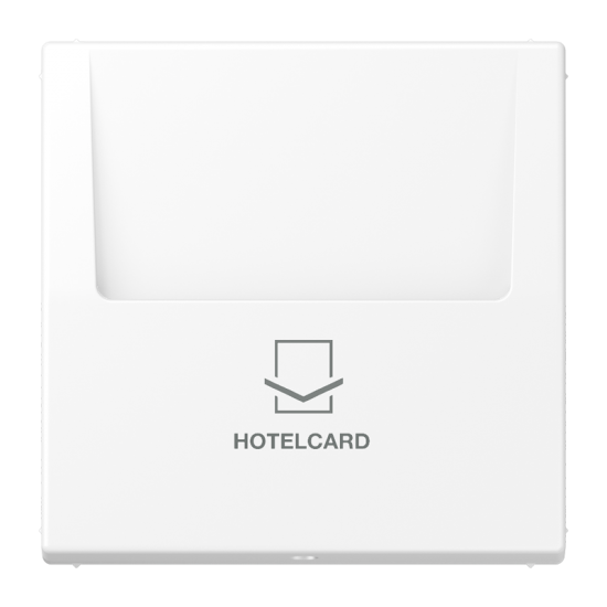 Накладка карточного выключателя (без механизма), LS 590 CARD WWM