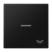 Клавиша с символом «освещение» и окошком, LS 990 KO5 L SWM