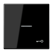 Kлавиша с символом «ключ» и окошком, LS 990 KO5 T SW