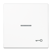 Kлавиша с символом «ключ» и окошком, LS 990 KO5 T WW