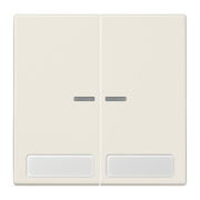 Клавиша с окошком и с полем для надписи 9 x 27 мм, LS 995 NA KO5