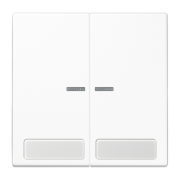 Клавиша с окошком и с полем для надписи 9 x 27 мм, LS 995 NA KO5 WW