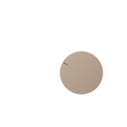 Специальная кнопка предотвращает нежелательные изменения установленной температуры для всех крышек регуляторов, MS TR 231 CH