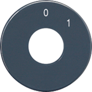 Scale disc, SKS 1101-20