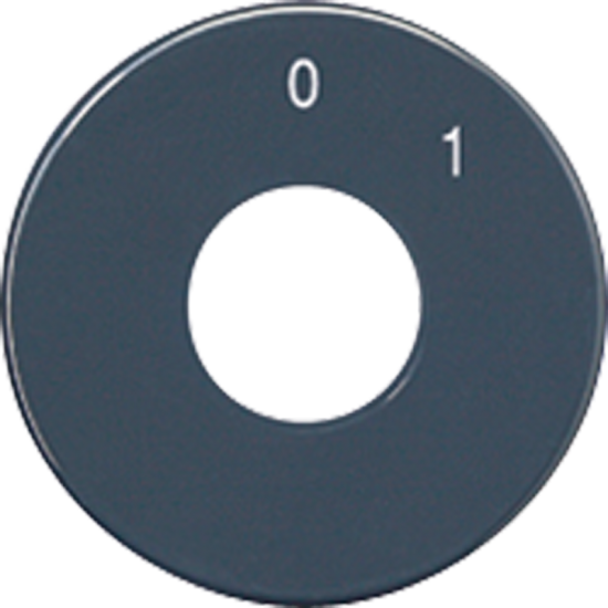 Scale disc, SKS 1101-20