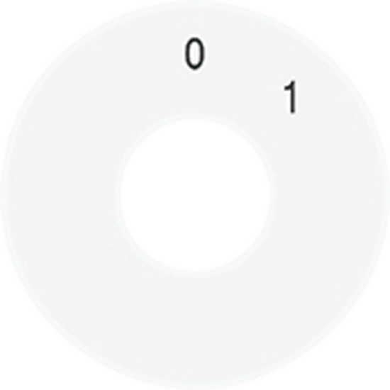 Scale disc, SKS 1101-20 WW