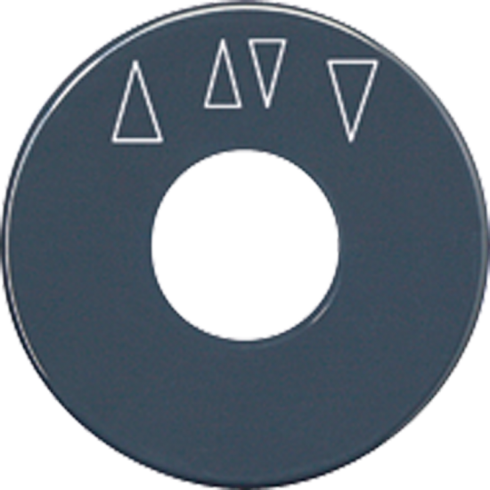Scale disc, SKS 1234.10