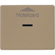 Накладка карточного выключателя (без механизма), SL 590 CARD GB