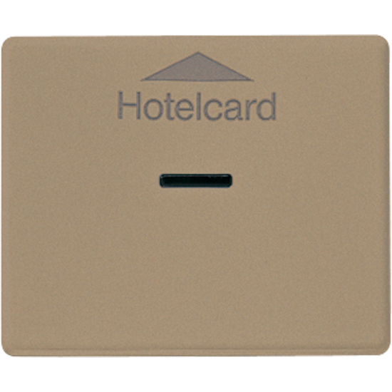 Накладка карточного выключателя (без механизма), SL 590 CARD GB