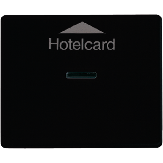 Накладка карточного выключателя (без механизма), SL 590 CARD SW