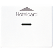 Накладка карточного выключателя (без механизма), SL 590 CARD WW